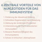 6 positive Eigenschaften von Nukleotiden auf das Immunsystem
