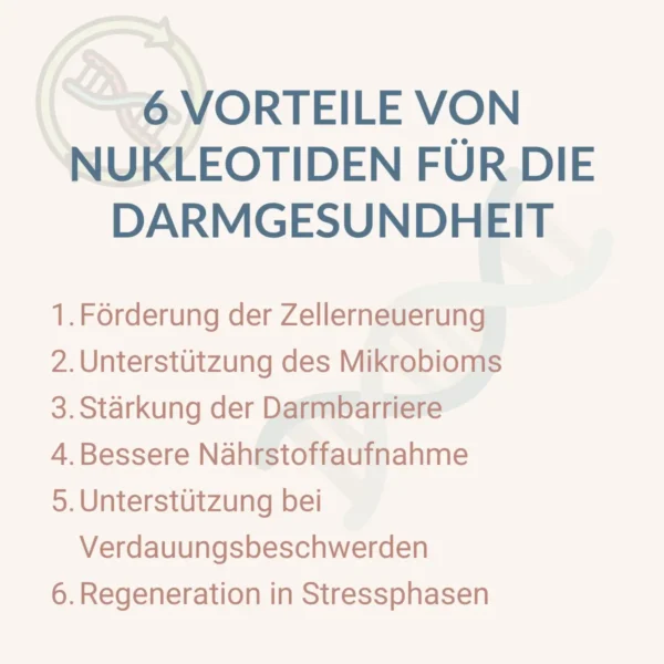 6 Positive Eigenschaften von Nukleotiden auf den Darm