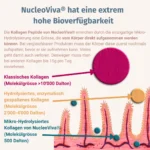 Kollagen Pulver mit Kollagen Peptiden 500 Dalton