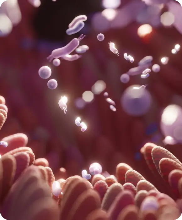 Nukleotide zur Darmregeneration