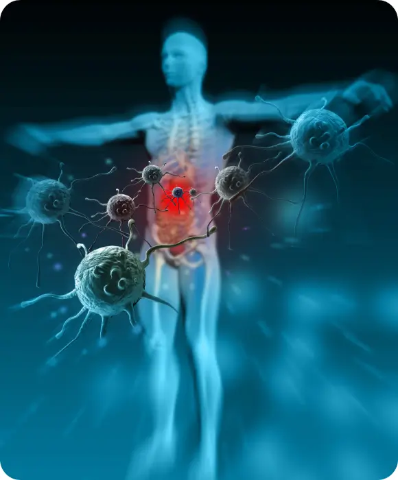 Immunsystem Schutzschild