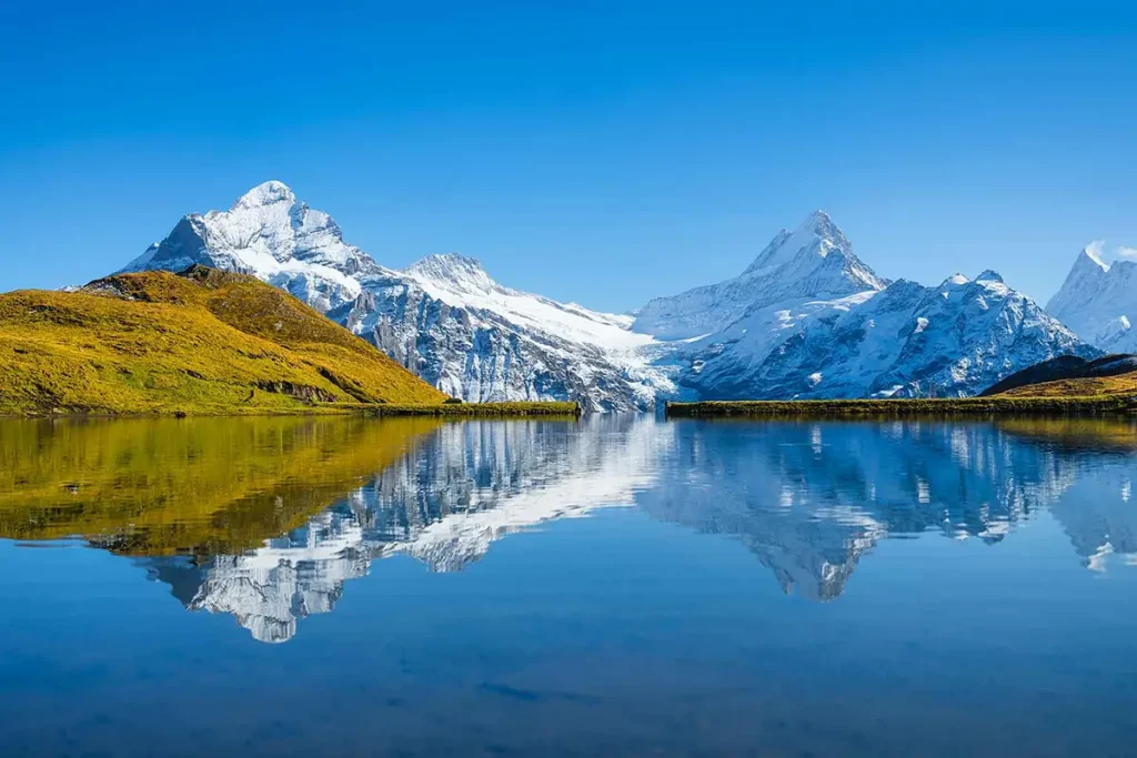 Über uns Bachalpsee Jungfrau