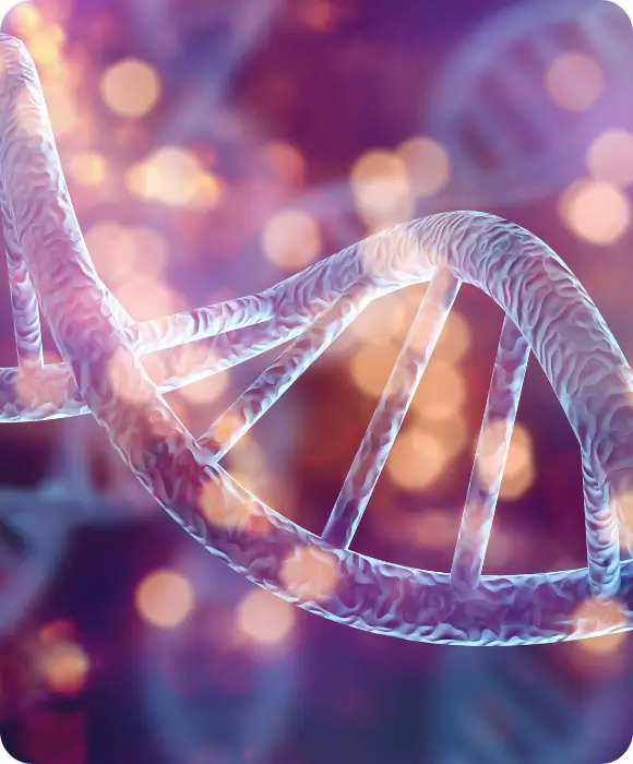 Immunsystem stärken – welche Rolle Nukleotide spielen können
